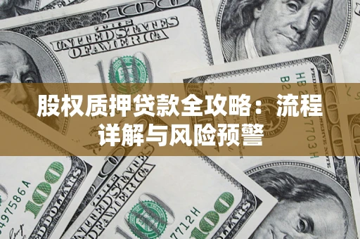 武汉股权质押贷款全攻略：流程详解与风险预警
