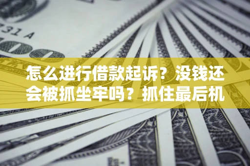武汉怎么进行借款起诉？没钱还会被抓坐牢吗？抓住最后机会！