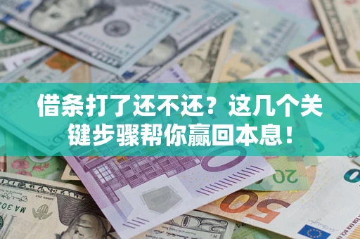 武汉借条打了还不还？这几个关键步骤帮你赢回本息！
