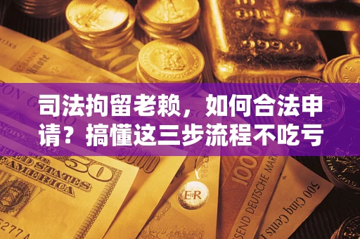 武汉司法拘留老赖，如何合法申请？搞懂这三步流程不吃亏！