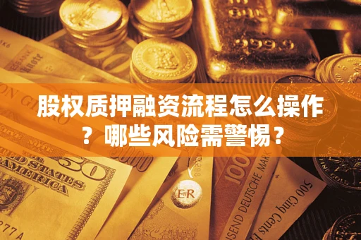 武汉股权质押融资流程怎么操作？哪些风险需警惕？