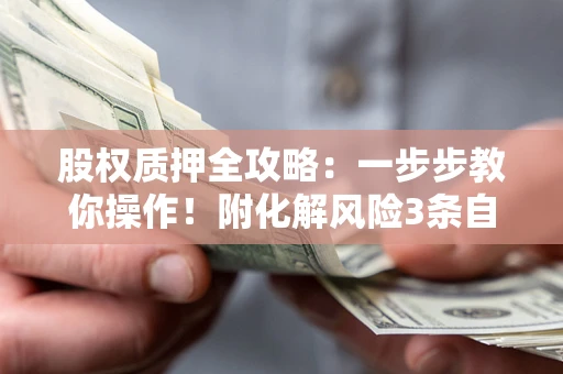 武汉股权质押全攻略：一步步教你操作！附化解风险3条自救法则