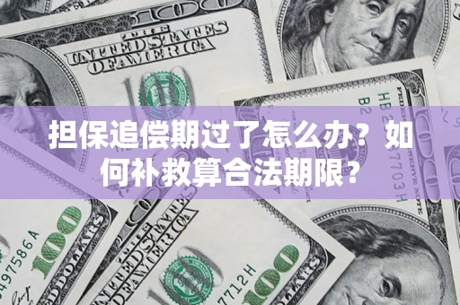 武汉担保追偿期过了怎么办？如何补救算合法期限？