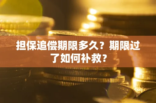 武汉担保追偿期限多久？期限过了如何补救？