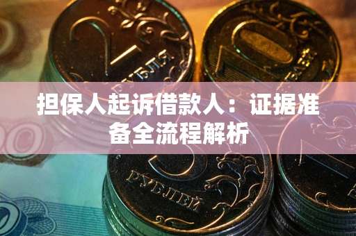 武汉担保人起诉借款人：证据准备全流程解析