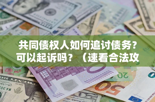 武汉共同债权人如何追讨债务？可以起诉吗？（速看合法攻略）