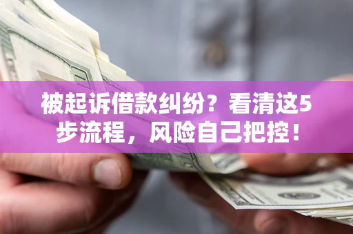 武汉被起诉借款纠纷？看清这5步流程，风险自己把控！