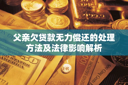 武汉父亲欠贷款无力偿还的处理方法及法律影响解析