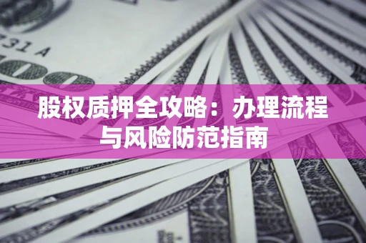 武汉股权质押全攻略：办理流程与风险防范指南
