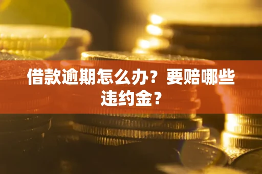 武汉借款逾期怎么办？要赔哪些违约金？